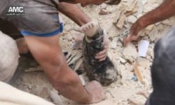 81 قتيلاً حصيلة ضحايا قصف الطيران الروسي الأسدي يوم أمس الأحد