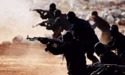 منسق الاتحاد الأوروبي: 2500 أوروبي يقاتلون في صفوف تنظيم الدولة 