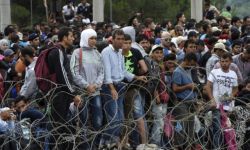 الأمم المتحدة تتوقع وصول 600 ألف لاجئ من تركيا إلى أوروبا في الأشهر الأربعة المقبلة