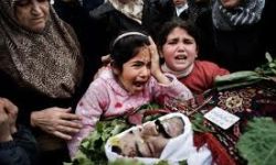 أخبار يوم الأربعاء 14-3-2012م