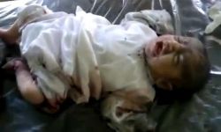 أخبار يوم الأربعاء 13-6-2012م