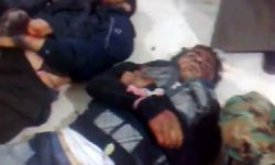 أخبار يوم الأربعاء 21-12-2011م