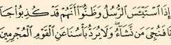 حَتَّى إِذَا اسْتَيْأَسَ الرُّسُلُ وَظَنُّواْ أَنَّهُمْ قَدْ كُذِبُواْ جَاءهُمْ نَصْرُنَا 