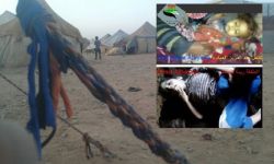 وفاة طفلين في مخيم الرقبان بسبب البرد ونقص الرعاية الطبية!